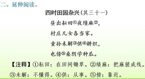 小学语文四年级基础知识训练,小学语文四年级上册的古诗词,小学语文四年级上册基础知识汇总