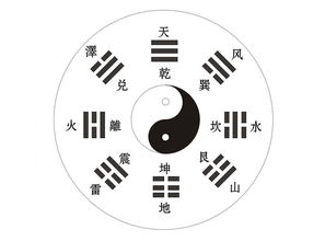 基础知识,ppt