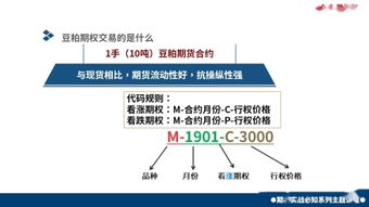 股票小白入门基础知识,股票图形入门基础知识,股票期货入门基础知识