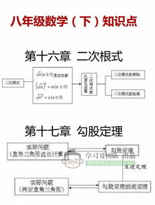 初中数学基础知识考点