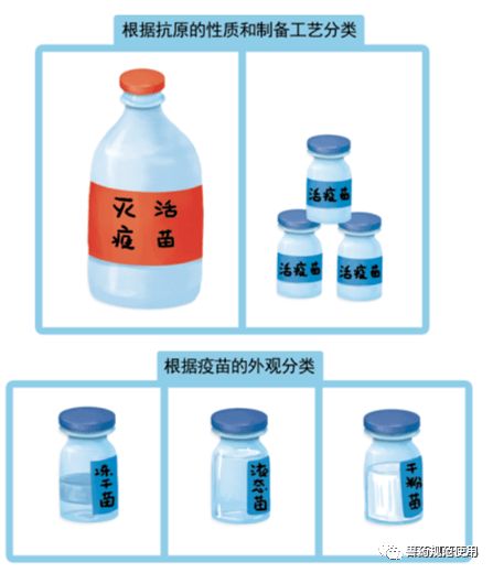 兽用疫苗接种的基础知识