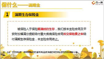 平安保险基础知识内容