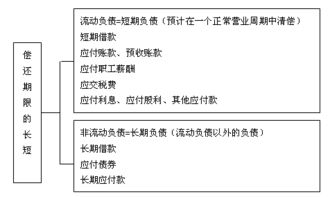 知识点,归纳,期末,会计