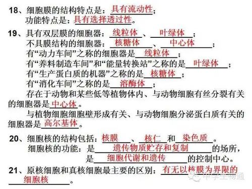 必修,基础知识,测试,高中生物