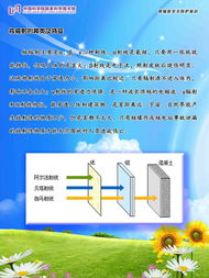 辐射安全基础知识
