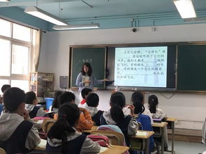 夯实,基础知识,小学,教学