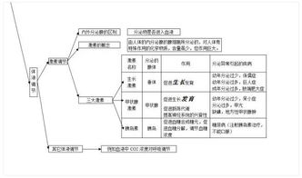 初中生物基础知识图