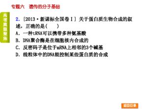 遗传分子基础易错易混知识点