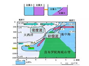洋流的基础知识