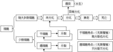 模具结构基础知识,皮肤结构基础知识,纸尿裤的结构及基础知识