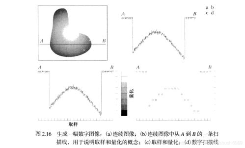 医疗数字影像基础知识