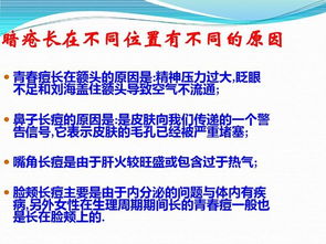 皮肤基础知识学