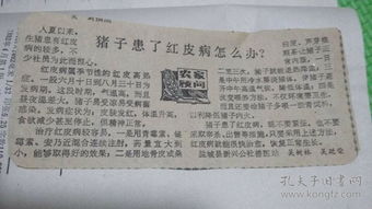 养猪基础知识107