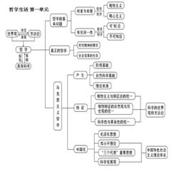 基础知识,注重,高中政治,教学中