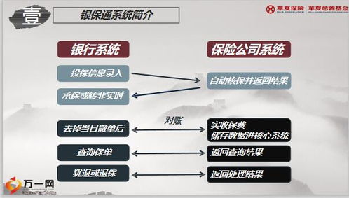 基础知识,运营