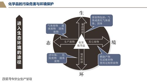 安全事故基础知识