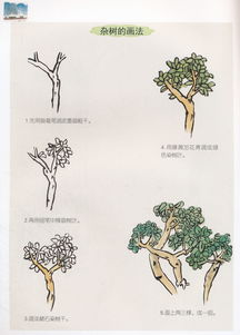少儿国画基础知识