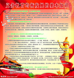发展教育的基础知识