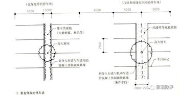 基础知识,测量,园林,基础