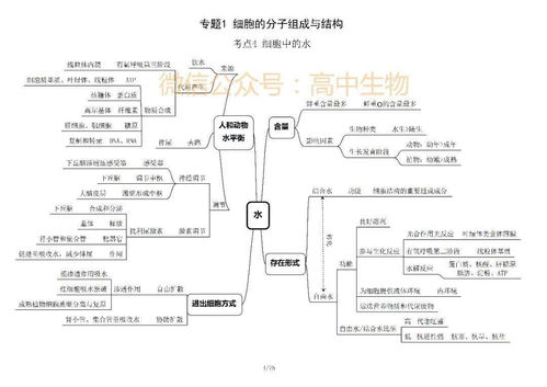 细胞的物质基础知识框架图