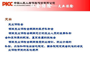 社保,基础知识,协管员