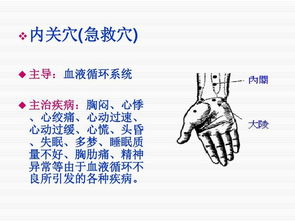 救助,基础知识,紧急
