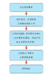 保险入门知识基础知识