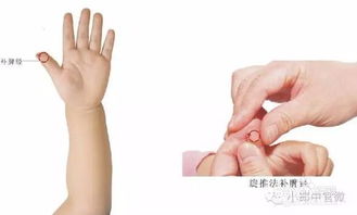小儿推拿基础知识理论,小儿推拿基础知识简介,小儿推拿基础知识ppt