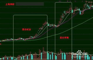 房地产收入及成本基础知识大全