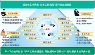 人力资源基础知识知乎