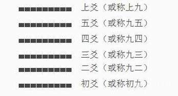 6爻基础知识