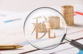 财税基础知识培训心得体会