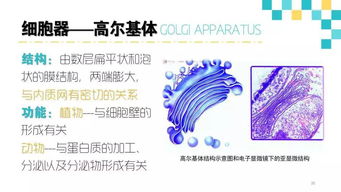 生物医学基础知识测试,单招生物医学基础知识测试,河北单招生物医学基础知识