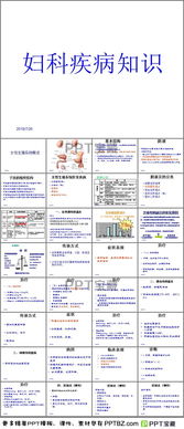 基础知识,生殖系统,女性,ppt