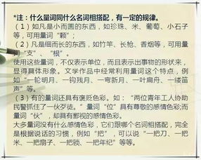 教育部高中暑假语文基础知识