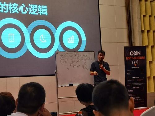 小学基础知识培训