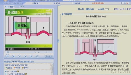 心电图,基础知识,教学