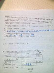初一语文试卷基础知识总结