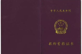 教师资格证计算机基础知识