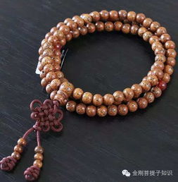星月菩提基础知识