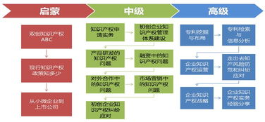 企业知识产权基础管理涵盖
