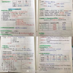 人体解剖学基础知识笔记,钢琴基础知识笔记,pr基础知识笔记
