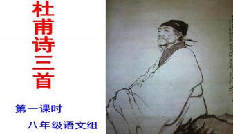 望岳基础知识联系