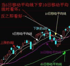 股票入门基础知识问题