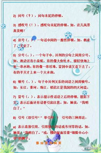 打基础,小学,知识