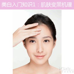 皮肤美白的基础知识