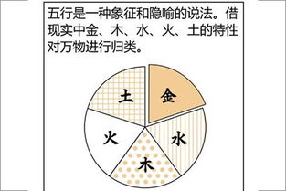 八字入门基础知识教程