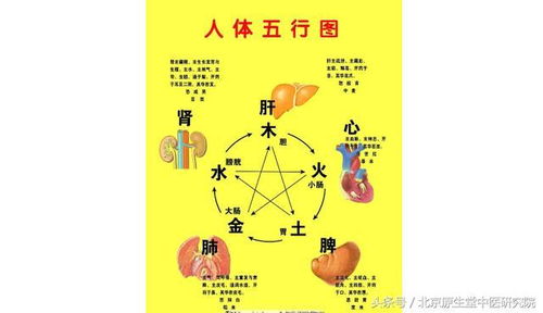 中医药基础知识阴阳五行学说