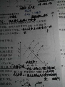 基础知识,经济学,宏微观