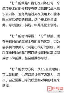 乒乓球,基础知识,理论